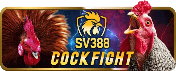Các chương trình khuyến mãi thể thao độc quyền tại NH88 Game
